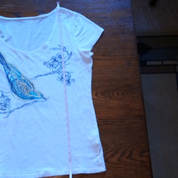 Shirt - Picture 2 of 12